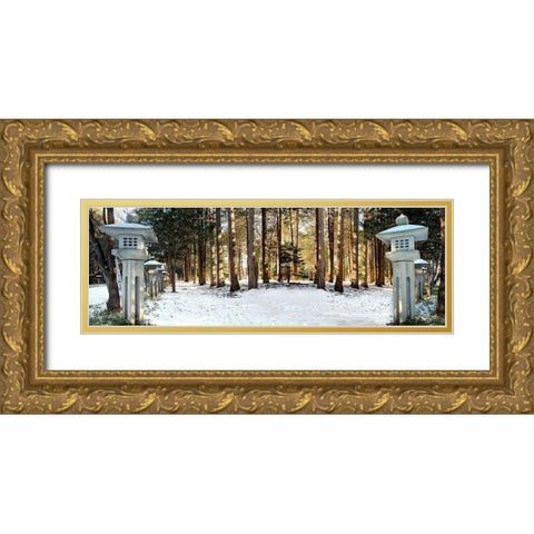 Hokkaido 12 Gold Ornate Wood Framed Art Print with Double Matting by Blaustein, Alan
