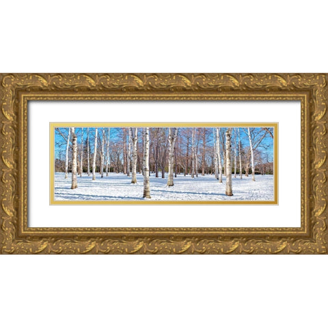 Hokkaido 1 Gold Ornate Wood Framed Art Print with Double Matting by Blaustein, Alan