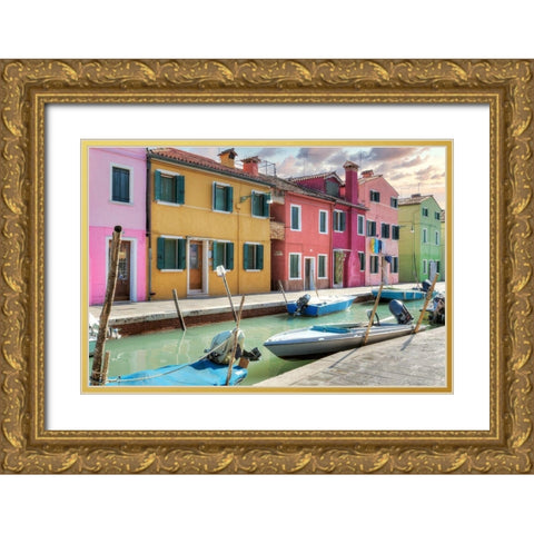 Bruano #17 Gold Ornate Wood Framed Art Print with Double Matting by Blaustein, Alan