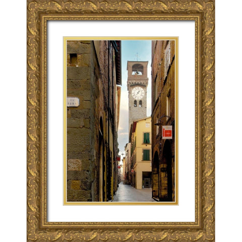 Lucca #1 Gold Ornate Wood Framed Art Print with Double Matting by Blaustein, Alan