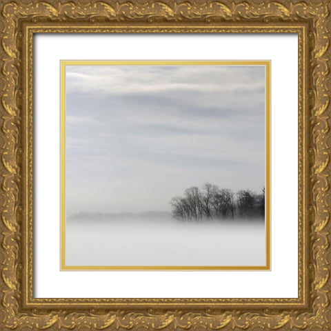 Lake of Fog Gold Ornate Wood Framed Art Print with Double Matting by Bell, Nicholas