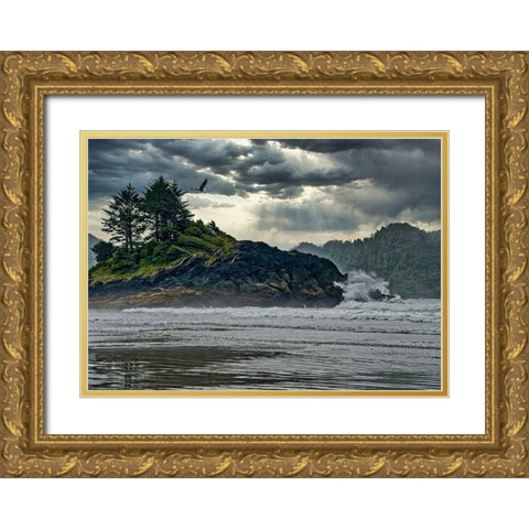 Before The Storm Gold Ornate Wood Framed Art Print with Double Matting by Burdick, Chuck