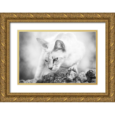 The Heart of a Lion Gold Ornate Wood Framed Art Print with Double Matting by Bertelli, Jon
