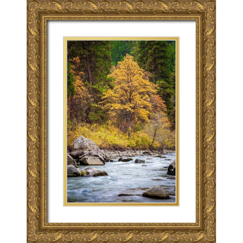 Autumn Across The River Gold Ornate Wood Framed Art Print with Double Matting by Broom, Michael