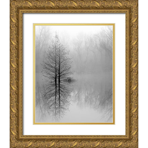 Lake Trees in Winter Fog Gold Ornate Wood Framed Art Print with Double Matting by Bell, Nicholas