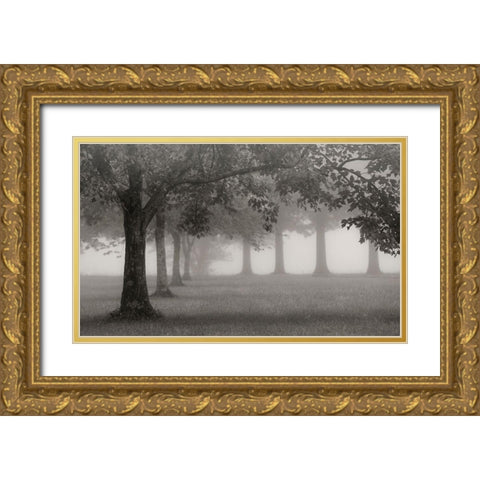 Trees In Early Autumn Gold Ornate Wood Framed Art Print with Double Matting by Bell, Nicholas