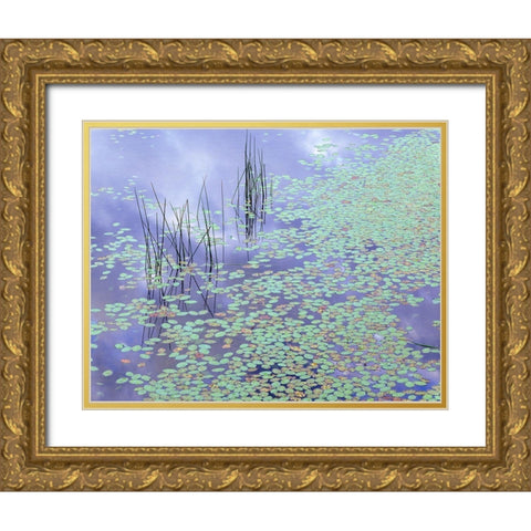 Damselfly and Lily Pads Gold Ornate Wood Framed Art Print with Double Matting by Becia, Jim