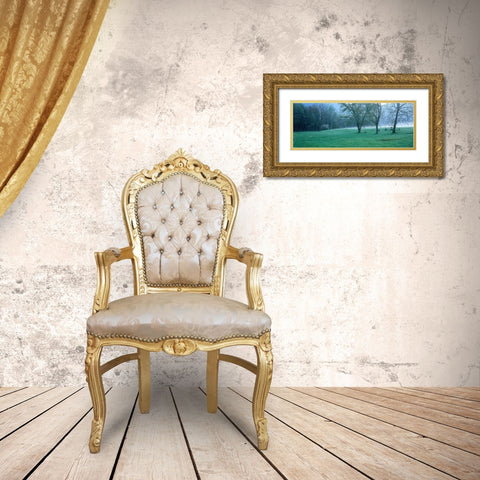 Foggy Morning and Deer Gold Ornate Wood Framed Art Print with Double Matting by Becia, Jim