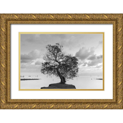 Coastal Oak Series No. 36 Gold Ornate Wood Framed Art Print with Double Matting by Blaustein, Alan