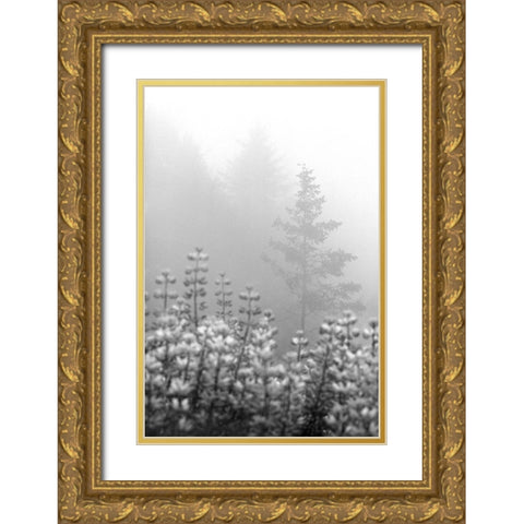 Coastal Oak Series No. 53 Gold Ornate Wood Framed Art Print with Double Matting by Blaustein, Alan