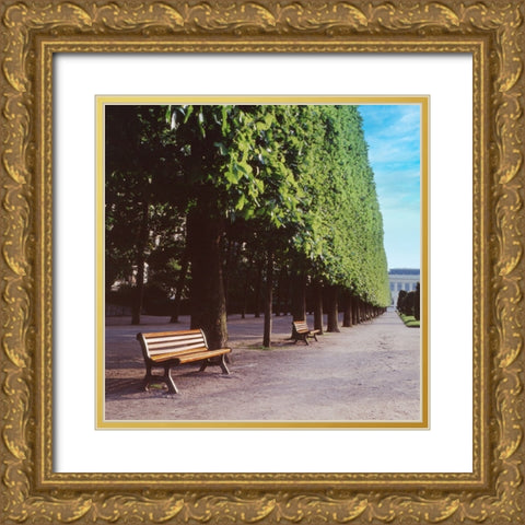 French Jardin No. 9 Gold Ornate Wood Framed Art Print with Double Matting by Blaustein, Alan