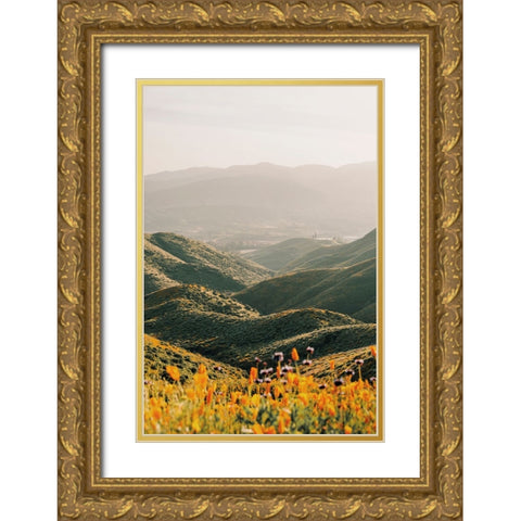 Palomar Gold Ornate Wood Framed Art Print with Double Matting by Broadway, Krista