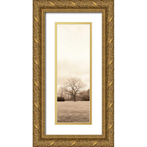 Chestnut Tree Gold Ornate Wood Framed Art Print with Double Matting by Blaustein, Alan