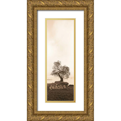 Coast Oak Gold Ornate Wood Framed Art Print with Double Matting by Blaustein, Alan