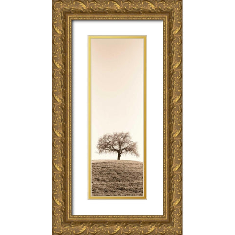 Lone Oak Tree Gold Ornate Wood Framed Art Print with Double Matting by Blaustein, Alan