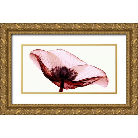 Anemone I Gold Ornate Wood Framed Art Print with Double Matting by Coop, Robert
