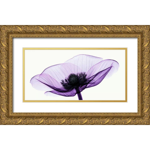 Anemone II Gold Ornate Wood Framed Art Print with Double Matting by Coop, Robert