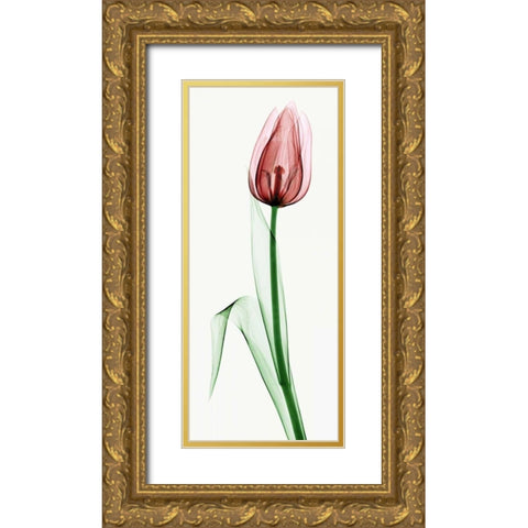 Tulip II Gold Ornate Wood Framed Art Print with Double Matting by Coop, Robert