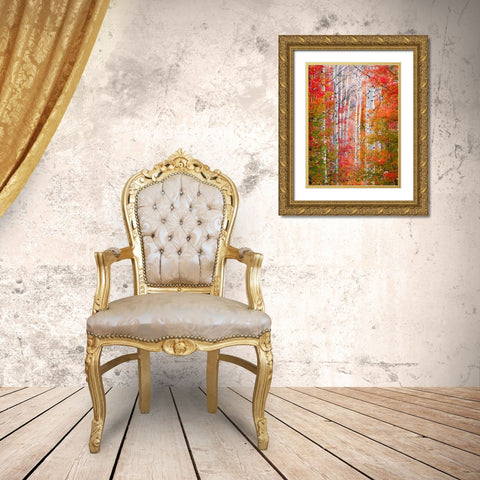 Autumn Passage Gold Ornate Wood Framed Art Print with Double Matting by Carmel, Elizabeth