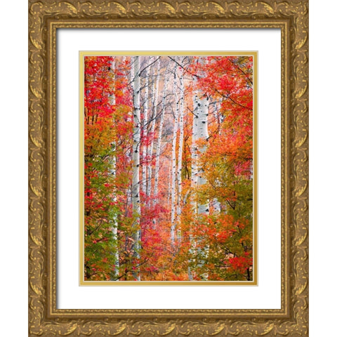 Autumn Passage Gold Ornate Wood Framed Art Print with Double Matting by Carmel, Elizabeth