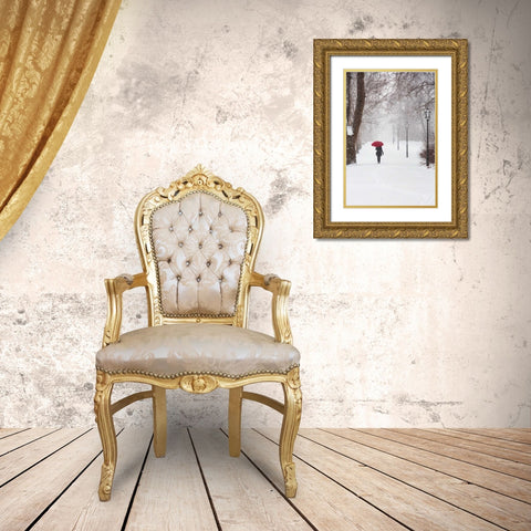 Winter Rose Gold Ornate Wood Framed Art Print with Double Matting by Corso, Stefano