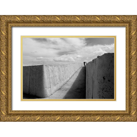Shadow Line Gold Ornate Wood Framed Art Print with Double Matting by Corso, Stefano