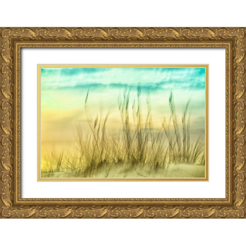 Delightful No. 2 Gold Ornate Wood Framed Art Print with Double Matting by Connolly, Karin
