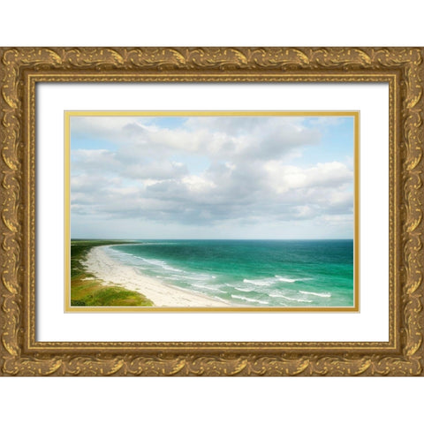 Coastal Blue Gold Ornate Wood Framed Art Print with Double Matting by Colligan, Lynann