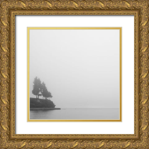 Foggy Coast 1 Gold Ornate Wood Framed Art Print with Double Matting by Colligan, Lynann