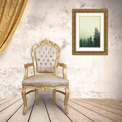Rocky Mountain 6 Gold Ornate Wood Framed Art Print with Double Matting by Colligan, Lynann