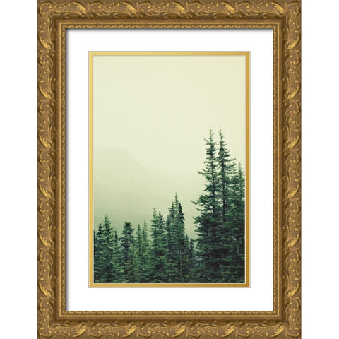Rocky Mountain 6 Gold Ornate Wood Framed Art Print with Double Matting by Colligan, Lynann