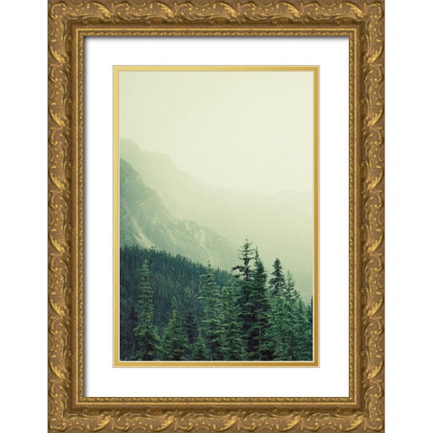 Rocky Mountain 7 Gold Ornate Wood Framed Art Print with Double Matting by Colligan, Lynann