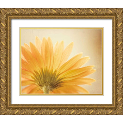 Butterscotch Gold Ornate Wood Framed Art Print with Double Matting by Cochrane, Carolyn