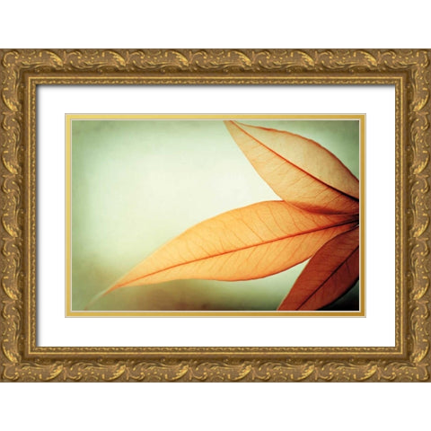 Grace Gold Ornate Wood Framed Art Print with Double Matting by Cochrane, Carolyn