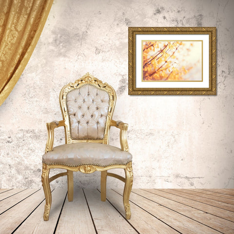 In the Beginning Gold Ornate Wood Framed Art Print with Double Matting by Cochrane, Carolyn