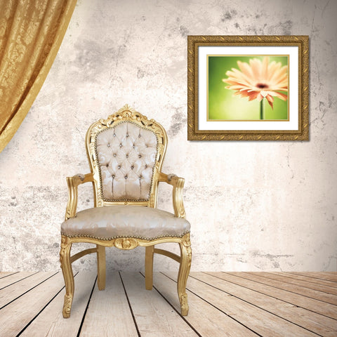 Joyful Gold Ornate Wood Framed Art Print with Double Matting by Cochrane, Carolyn