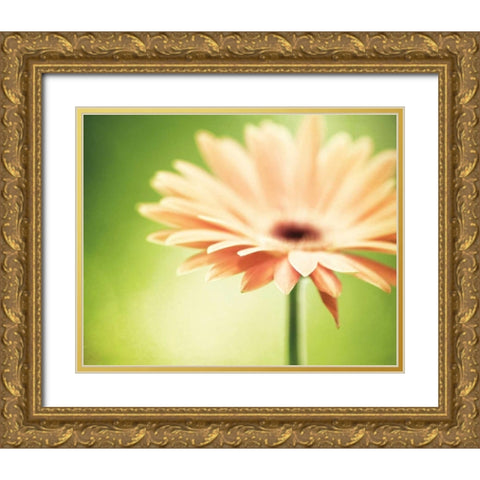 Joyful Gold Ornate Wood Framed Art Print with Double Matting by Cochrane, Carolyn