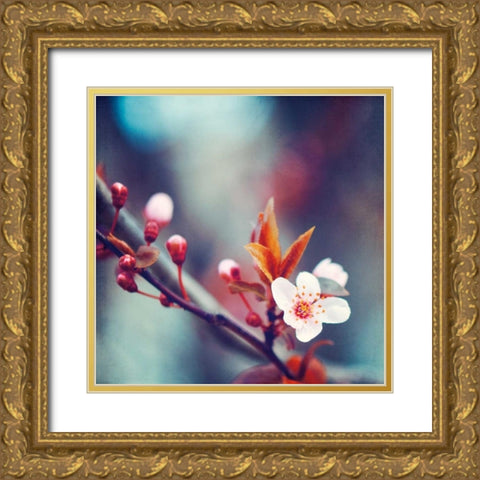 Natures Palette Gold Ornate Wood Framed Art Print with Double Matting by Cochrane, Carolyn