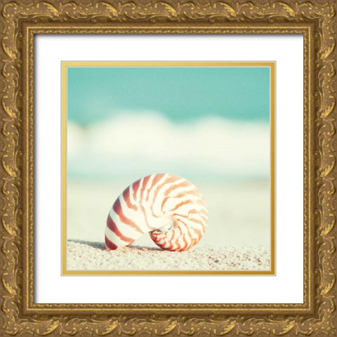 Nautilus Gold Ornate Wood Framed Art Print with Double Matting by Cochrane, Carolyn