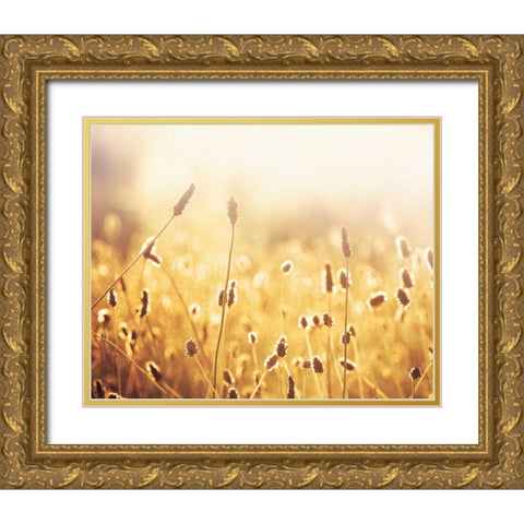 Nothing Gold Can Stay Gold Ornate Wood Framed Art Print with Double Matting by Cochrane, Carolyn