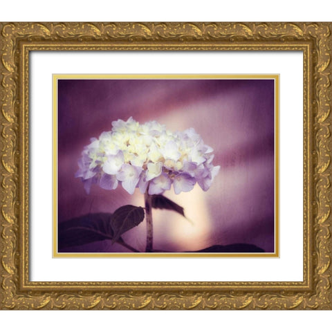 Regal Gold Ornate Wood Framed Art Print with Double Matting by Cochrane, Carolyn
