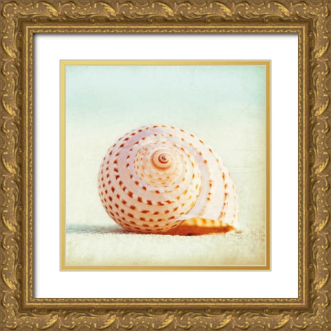 Seashell Voices Gold Ornate Wood Framed Art Print with Double Matting by Cochrane, Carolyn