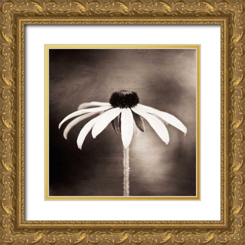 Simply Stated Gold Ornate Wood Framed Art Print with Double Matting by Cochrane, Carolyn
