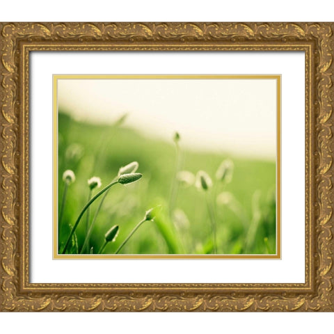 The Dance Gold Ornate Wood Framed Art Print with Double Matting by Cochrane, Carolyn