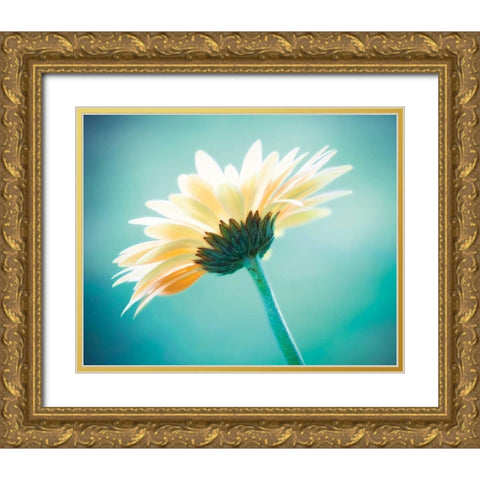 Vanity Gold Ornate Wood Framed Art Print with Double Matting by Cochrane, Carolyn