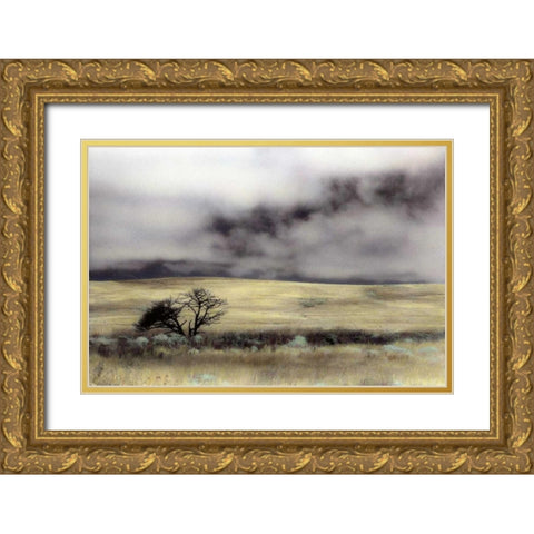 Limantour Marsh Gold Ornate Wood Framed Art Print with Double Matting by Culver, Laura