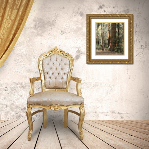 Redwoods 2 Gold Ornate Wood Framed Art Print with Double Matting by Culver, Laura