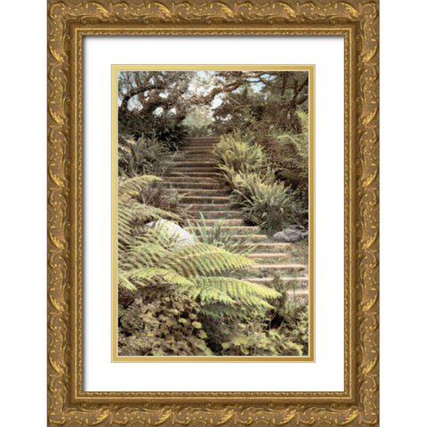 Secret Steps Gold Ornate Wood Framed Art Print with Double Matting by Culver, Laura