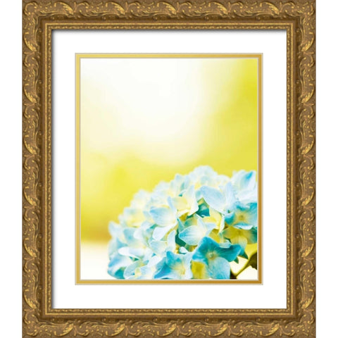 Hydrangea Gold Ornate Wood Framed Art Print with Double Matting by Cochrane, Carolyn