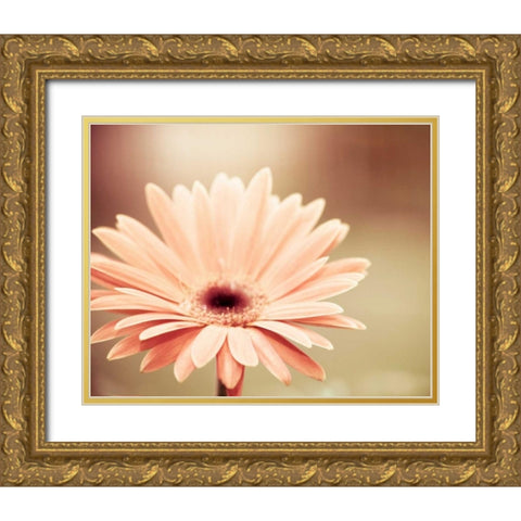 Peachy Keen Gold Ornate Wood Framed Art Print with Double Matting by Cochrane, Carolyn